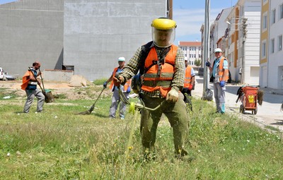 YABANİ OTLAR TEMİZLENİYOR