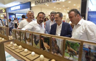 TAVUKLAR VE YUMURTALARI SERGİSİ AÇILDI