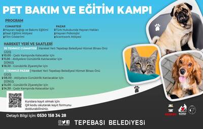 PET EĞİTİMİ VE BAKIM KAMPI DOLU DOLU GEÇECEK